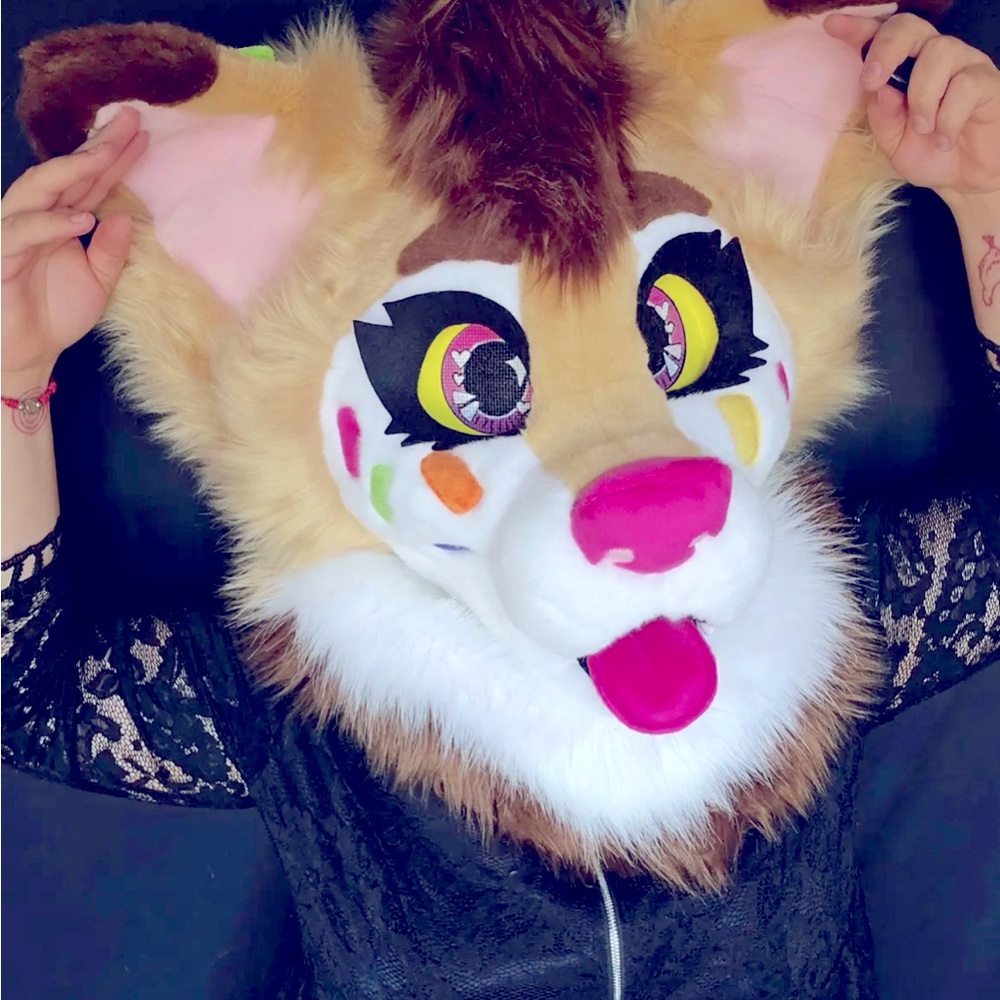 HQ  collie Fursuit head! “Spinklet”